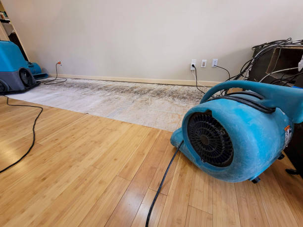 Professional Structural Drying technician working in Mooresburg, TN